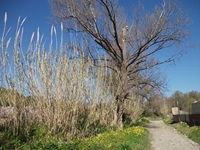 cantara Calatabiano18032012 032
